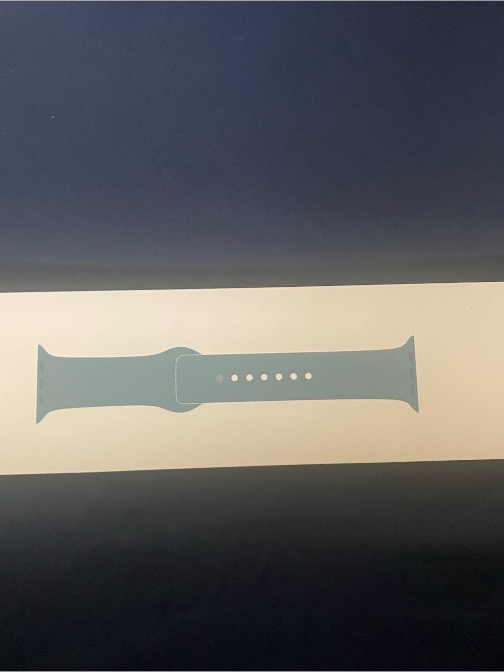 Apple watch band set